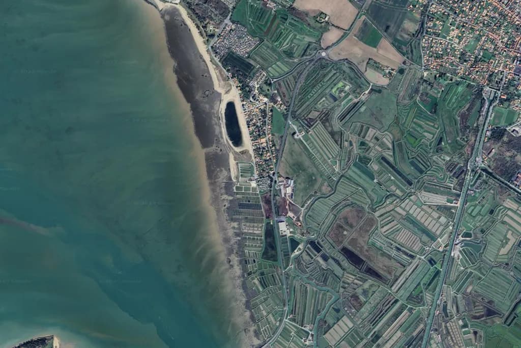 Ostrica Fine (David Hervé) — Ronce-les-Bains · Francia